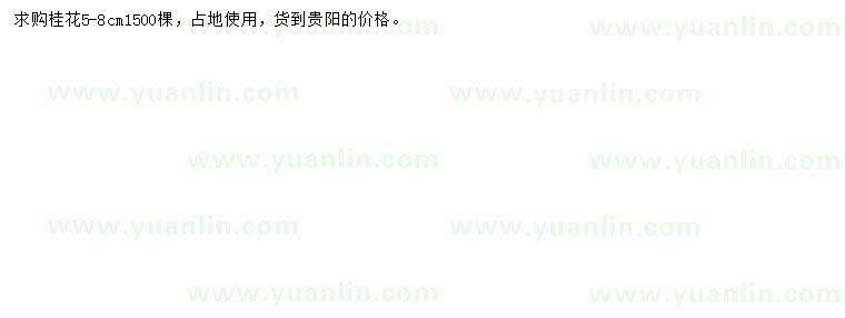 求購5-8公分桂花
