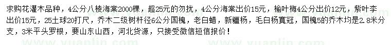求購八棱海棠、海棠、紫葉李等