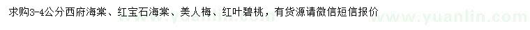 求購(gòu)西府海棠、紅寶石海棠、美人梅等
