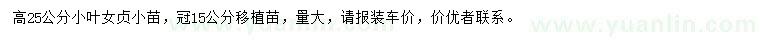 求購高25公分小葉女貞