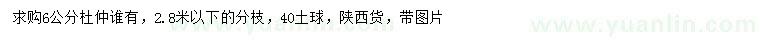 求購6公分杜仲