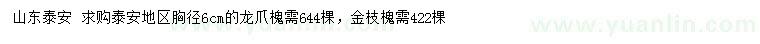 求購胸徑6公分龍爪槐、金枝槐