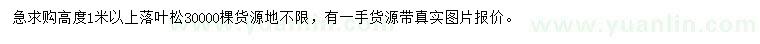 求購高1米以上落葉松
