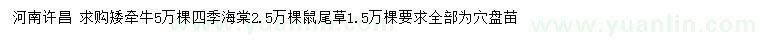 求購矮牽牛、四季海棠、鼠尾草