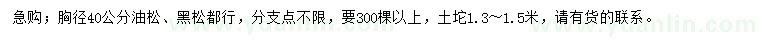 求購胸徑40公分油松、黑松