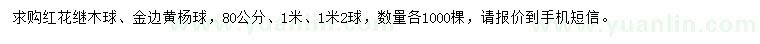 求購80、100、120公分紅花繼木球、金邊黃楊球