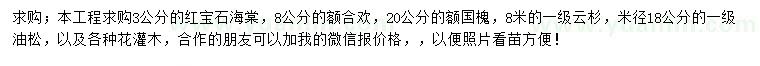 求購紅寶石海棠、合歡、國槐等