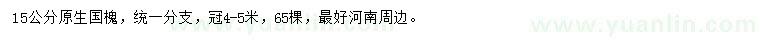 求購(gòu)15公分國(guó)槐