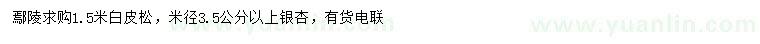求購1.5米白皮松、米徑3.5公分以上銀杏
