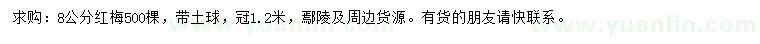 求購8公分紅梅