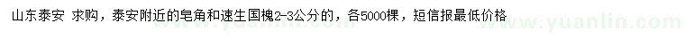求購2-3公分皂角、速生國槐