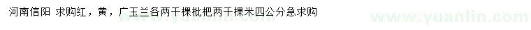 求購紅玉蘭、黃玉蘭、廣玉蘭