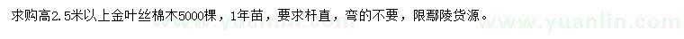 求購(gòu)高2.5米以上金葉絲棉木