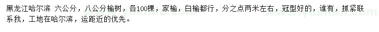 求購(gòu)6、8公分榆樹(shù)