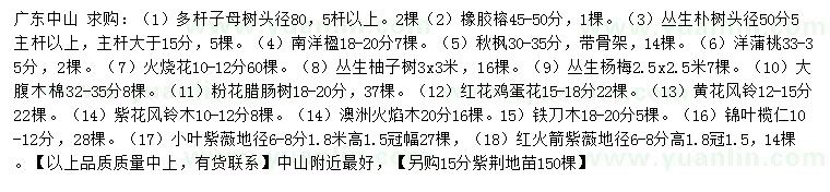 求購多桿子母樹(shù)、橡膠榕、叢生樸樹(shù)等