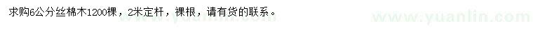 求購6公分絲棉木