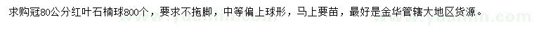 求購冠80公分紅葉石楠球