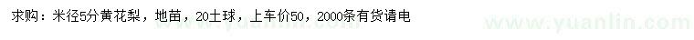 求購米徑5公分黃花梨