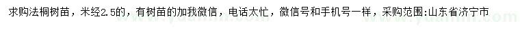 求購米徑2.5公分法桐樹苗