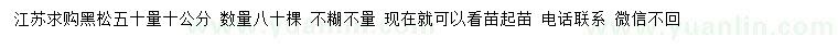 求購(gòu)50量10公分黑松