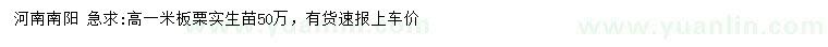 求購高1米板栗實(shí)生苗