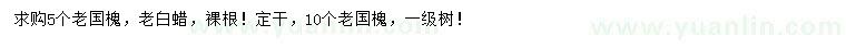 求購5、10公分老國槐、5公分老白蠟