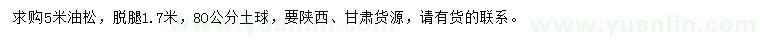 求購5米油松