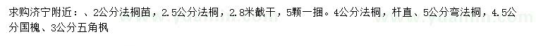 求購法桐苗、國槐、五角楓