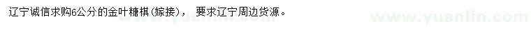 求購6公分金葉糖槭(嫁接)