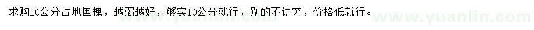 求購(gòu)10公分占地國(guó)槐