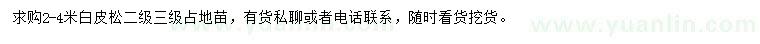 求購(gòu)2-4米白皮松