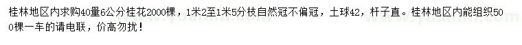 求購40量6公分桂花