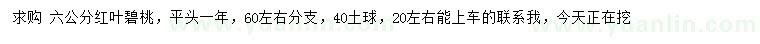 求購(gòu)6公分紅葉碧桃