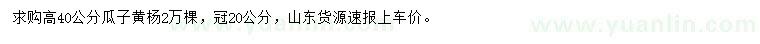 求購高40公分瓜子黃楊