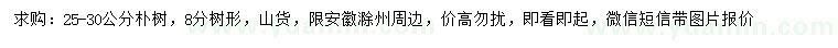 求購25-30公分樸樹