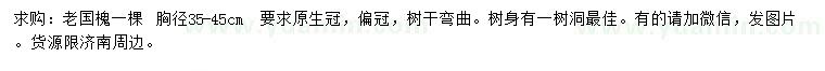 求購(gòu)胸徑35-45公分老國(guó)槐