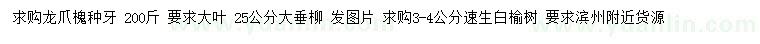 求購(gòu)龍爪槐種牙、大垂柳、速生白榆樹