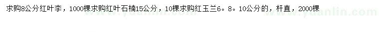 求購紅葉李、紅葉石楠、紅玉蘭