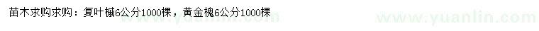 求購6公分復葉槭、黃金槐