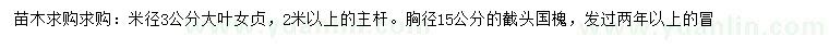 求購(gòu)米徑3公分大葉女貞、胸徑15公分國(guó)槐