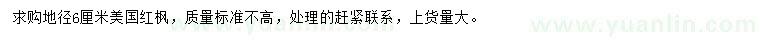 求購地徑6公分美國紅楓