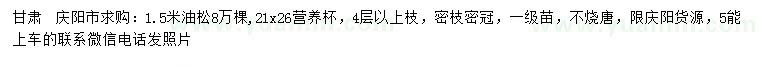 求購1.5米油松