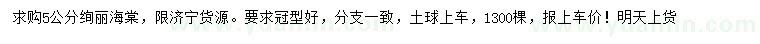 求購(gòu)5公分絢麗海棠