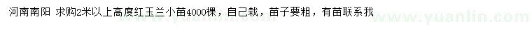 求購(gòu)高2米以上紅玉蘭小苗