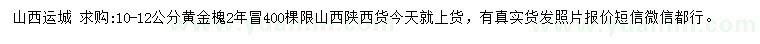 求購10-12公分黃金槐