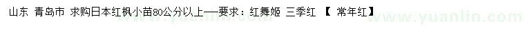 求購80公分以上日本紅楓小苗