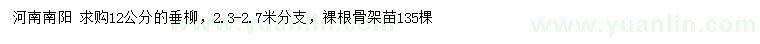 求購12公分垂柳