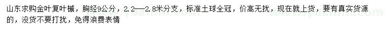 求購(gòu)胸徑9公分金葉復(fù)葉槭