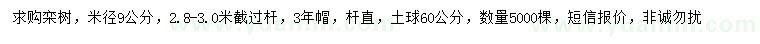求購米徑9公分欒樹