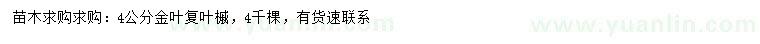 求購4公分金葉復(fù)葉槭